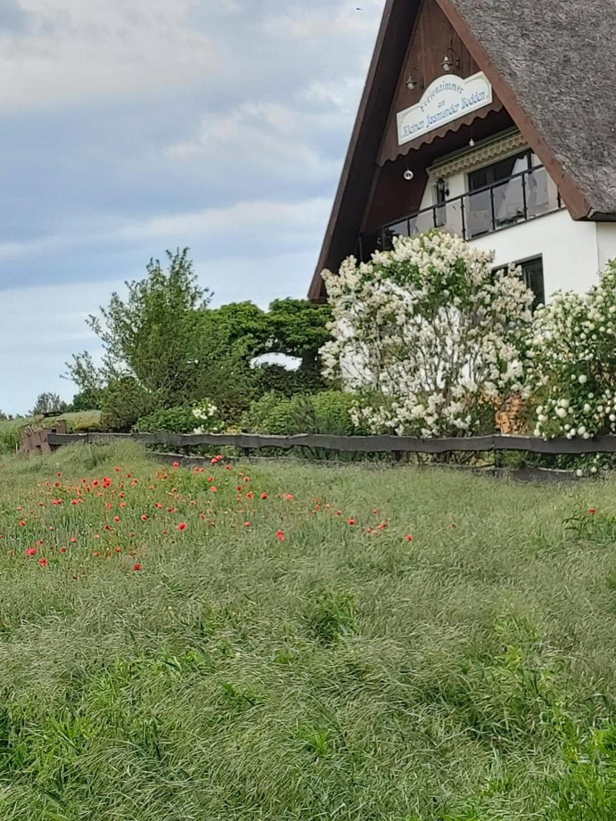 Pension Petersen Bergen Auf Rugen Bilik gambar